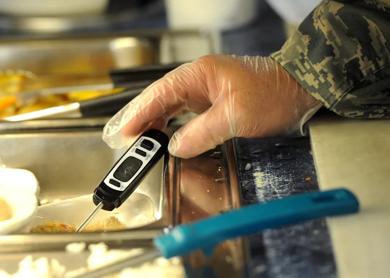 A thermometer checking food temperature